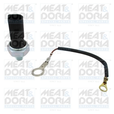 Oil Pressure Switch